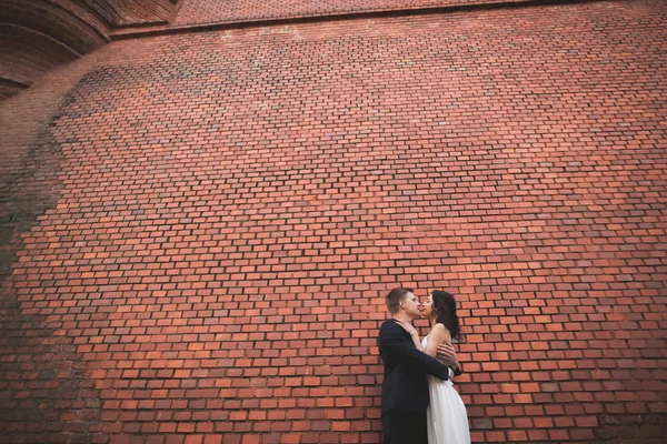 Wonderful luxury wedding couple posing near great wall — Stock Photo, Image