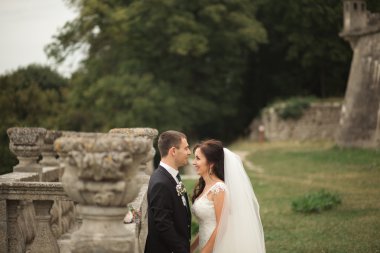 Mutlu düğün kaç sarılma ve öpüşme üzerinde arka plan eski kale