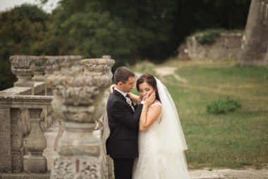 Güzel, romantik bir düğün. Yeni evliler. Eski kalenin yakınlarında sarılıyorlar.