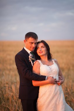 Güzel romantik bir çift yeni evliler gün batımında parkta sarılıyorlar.