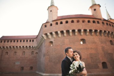 Mutlu düğün çift, damat, Gelin pembe elbise ile sarılma ve birbirlerine arka plan üzerinde gülümseyen duvarlar kalede