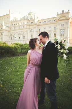 Düğün. Çift. Krakow. Pembe elbise ve tiyatro arka plan üzerinde poz damat gelin