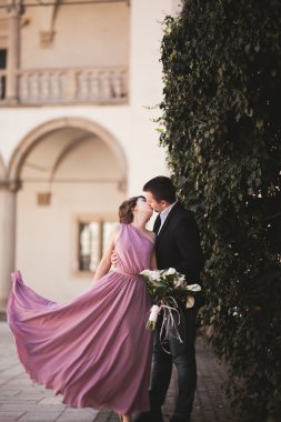 Güzel çift, erkek, kız uzun pembe elbise eski kale sütunlar yakınındaki poz ile. Krakow Vavel