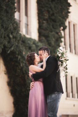 Mutlu düğün çift, damat, Gelin pembe elbise ile sarılma ve birbirlerine arka plan üzerinde gülümseyen duvarlar kalede