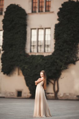 Güzel kız modeli sütunları yakınındaki eski kale poz uzun saçlı. Krakow Vavel