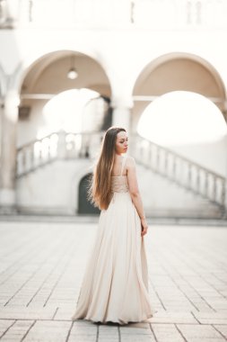 Güzel kız modeli sütunları yakınındaki eski kale poz uzun saçlı. Krakow Vavel
