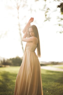 Uzun elbise dışında onun zaman içinde park günbatımı geçmiş zevk çekici genç kadın