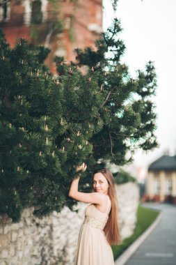 Uzun elbise dışında onun zaman içinde park günbatımı geçmiş zevk çekici genç kadın