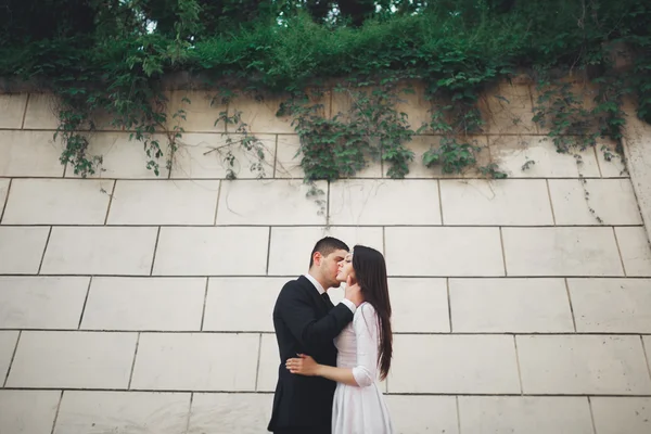 Maravillosa pareja de boda de lujo posando cerca de gran pared —  Fotos de Stock