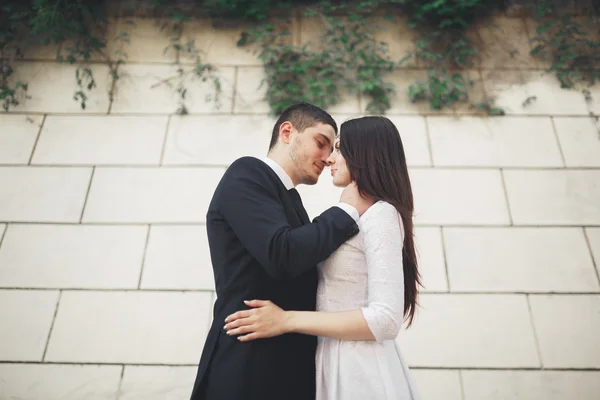 Maravillosa pareja de boda de lujo posando cerca de gran pared —  Fotos de Stock