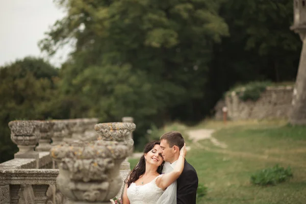 Feliz boda pareja abrazos y besos en el fondo viejo castillo — Foto de Stock