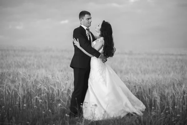 Hermosa pareja romántica de recién casados abrazándose en el parque en la puesta del sol —  Fotos de Stock