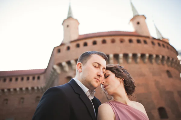 Feliz pareja de boda, novio, novia con vestido rosa abrazándose y sonriendo entre sí en las paredes de fondo en el castillo — Foto de Stock