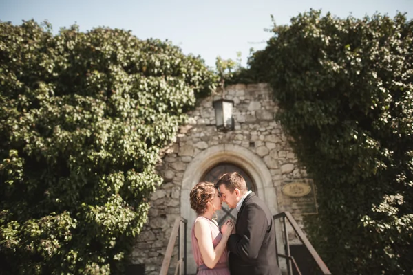 Couple de mariage de luxe embrassant et embrassant sur le fond de magnifiques plantes, grotte près de l'ancien château — Photo