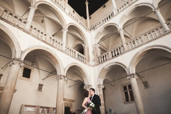 Feliz pareja de boda, novio, novia con vestido rosa abrazándose y sonriendo entre sí en las paredes de fondo en el castillo — Foto de Stock