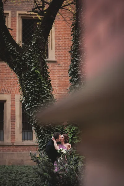 Coppia europea, sposa e sposo che si baciano nel parco vicino al grande albero — Foto Stock