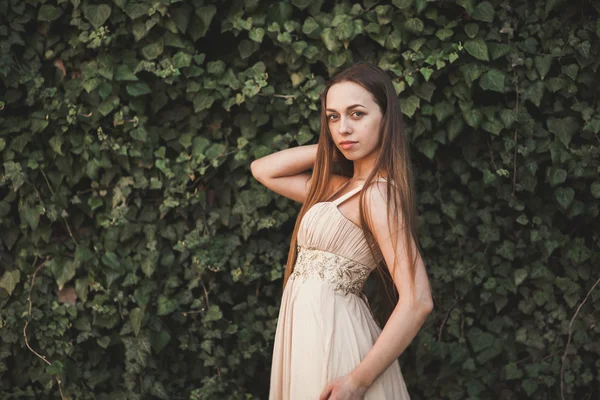 Hermosa chica, modelo cerca de la pared de hojas y arbustos en el parque —  Fotos de Stock