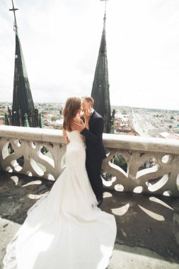 Muhteşem bir düğün çifti eski Lviv şehrinde yürüyor.