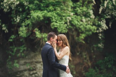 Nea kayalar poz neşeli evli evlilik çift