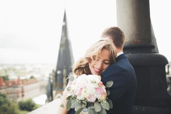 Stylish beautiful wedding couple kissing and hugging on background panoramic view of the old town — Stock Photo, Image