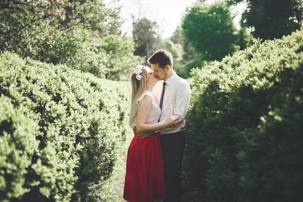 Stilvolle schöne glückliche Hochzeitspaar küsst und umarmt im botanischen Garten — Stockfoto