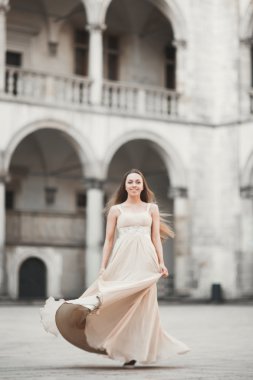 Güzel kız modeli sütunları yakınındaki eski kale poz uzun saçlı. Krakow Vavel