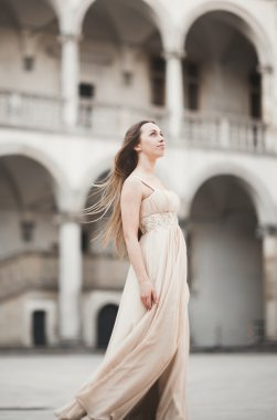 Güzel kız modeli sütunları yakınındaki eski kale poz uzun saçlı. Krakow Vavel