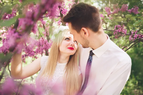 Giovane bella coppia baciare e abbracciare vicino alberi con fiore nel parco estivo — Foto Stock