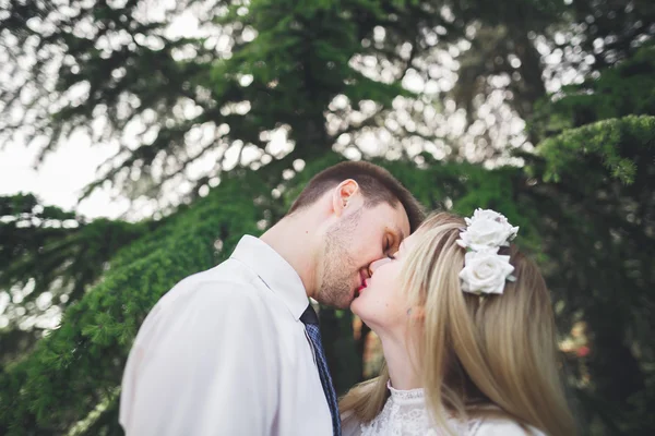 Elegante bella coppia di nozze felice baciare e abbracciare nel giardino botanico — Foto Stock