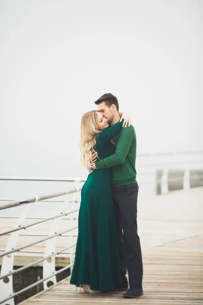 素敵なカップルのキスをし、海ドックのハグ — ストック写真
