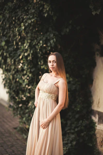 Красива дівчина з довгим волоссям позують біля дерева в Кракові vavel — стокове фото