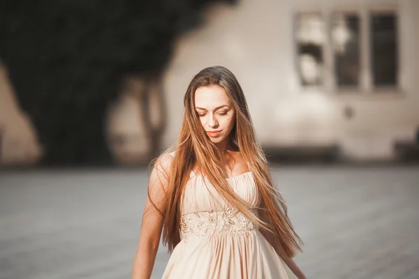 Hermosa chica, modelo con el pelo largo posando en el viejo castillo cerca de columnas. Cracovia Vavel —  Fotos de Stock