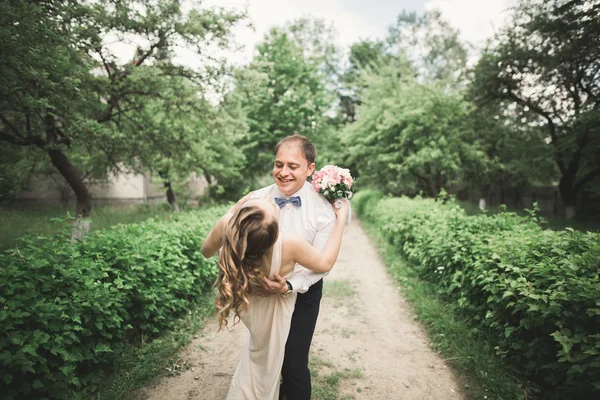 Pareja casada de lujo, novia y novio posando en el parque — Foto de Stock