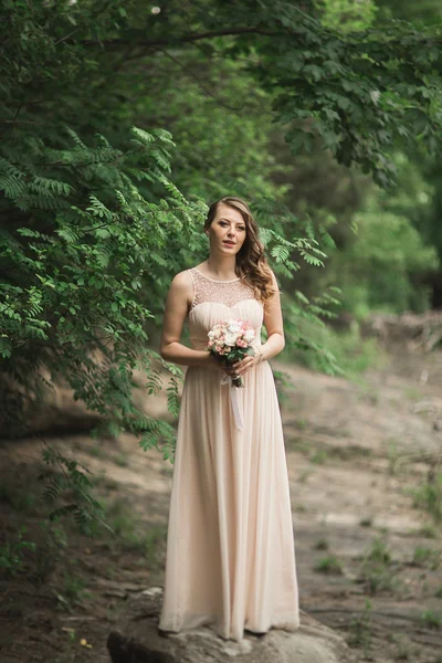 Bella lusso giovane sposa abito da sposa in piedi vicino al fiume con le montagne sullo sfondo — Foto Stock