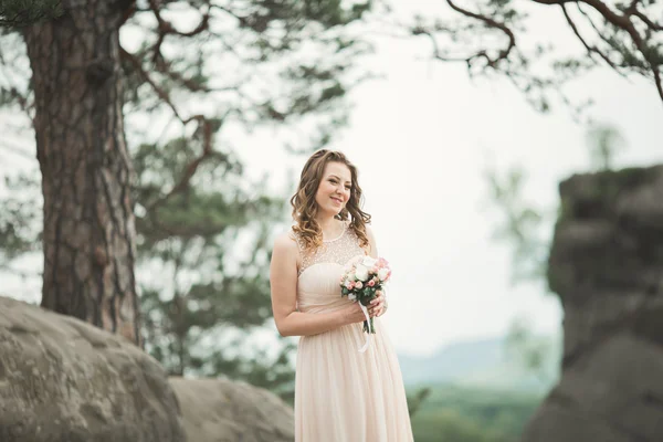 Hermosa novia posando cerca de rocas sobre el fondo las montañas — Foto de Stock