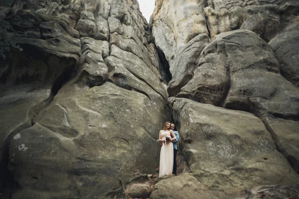 Feliz boda pareja besándose y abrazándose cerca de un alto acantilado —  Fotos de Stock