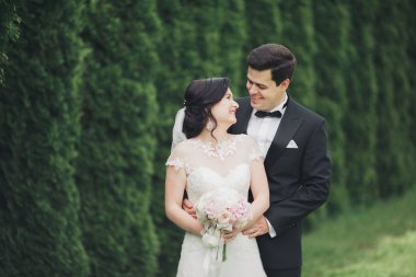 Romantik, peri masalı, mutlu yeni evli çift parkta sarılıp öpüşüyor, arka planda ağaçlar...