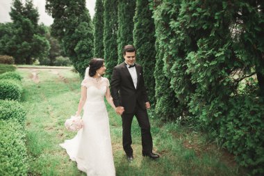 Romantik, peri masalı, mutlu yeni evli çift parkta sarılıp öpüşüyor, arka planda ağaçlar...