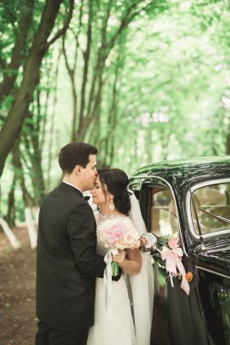 Güzel düğün çifti görkemli retro arabanın yakınında poz