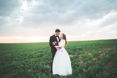 Alanına, aşık veya yeni evli mükemmel gökyüzü günbatımı poz güzel Çift