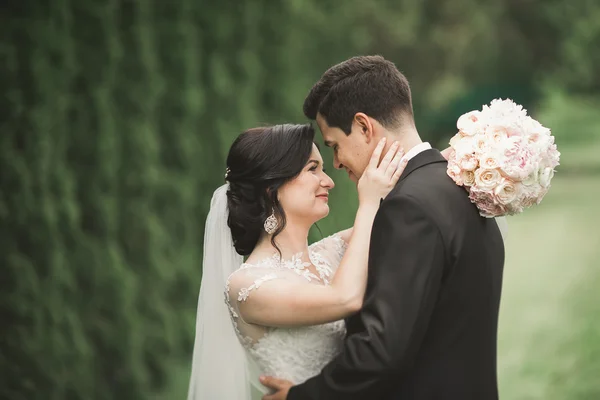 Romântico, conto de fadas, feliz casal recém-casado abraçando e beijando em um parque, árvores no fundo — Fotografia de Stock