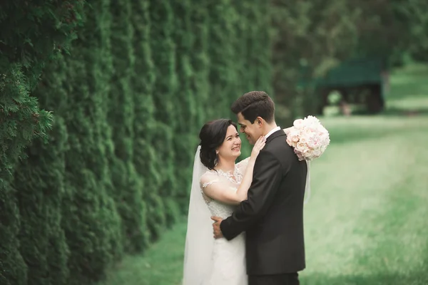 Romantický, pohádkový, šťastný novomanželský pár objímající a líbající se v parku, stromy v pozadí — Stock fotografie