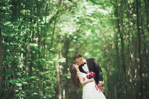 Casal de casamento jovem, noiva e noivo posando em uma trilha ferroviária — Fotografia de Stock