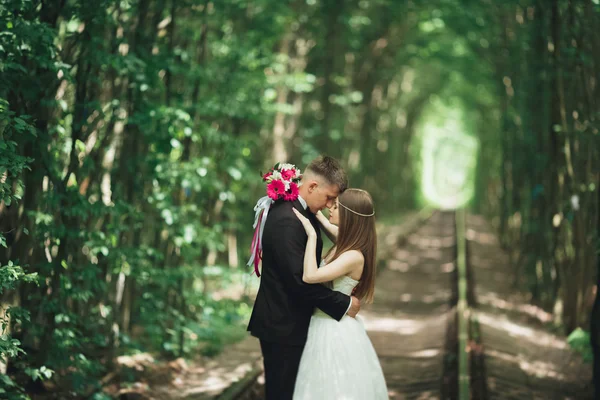 Joven pareja de boda, novia y novio posando en una vía férrea — Foto de Stock