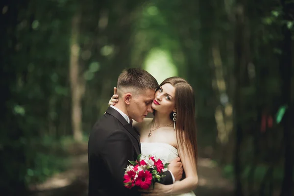 Casal de casamento jovem, noiva e noivo posando em uma trilha ferroviária — Fotografia de Stock