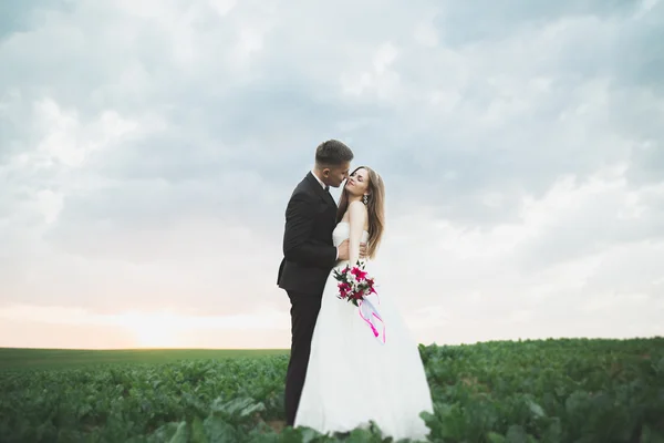 Bella coppia in campo, Amanti o appena sposati in posa al tramonto con cielo perfetto — Foto Stock