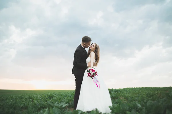 Belo casal no campo, Amantes ou recém-casados posando no pôr do sol com céu perfeito — Fotografia de Stock