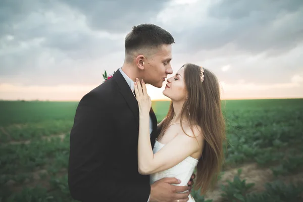 Belo casal no campo, Amantes ou recém-casados posando no pôr do sol com céu perfeito — Fotografia de Stock