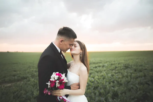 Belo casal no campo, Amantes ou recém-casados posando no pôr do sol com céu perfeito — Fotografia de Stock