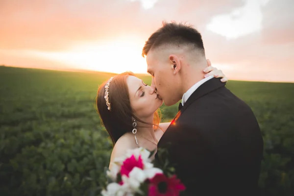 Matrimonio, Bella sposa romantica e sposo baciare abbracciare al tramonto — Foto Stock
